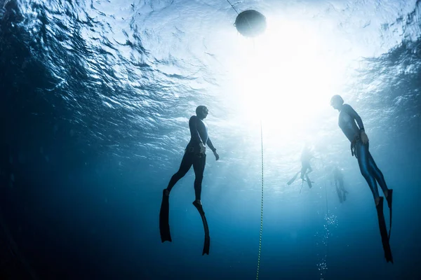 Dva Volní Potápěči Muž Žena Stoupající Hloubky — Stock fotografie