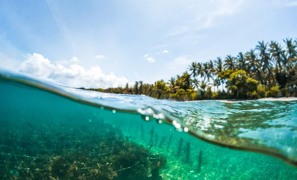印度尼西亚努沙佩尼达岛上海草花园的水下分割镜头 — 图库照片