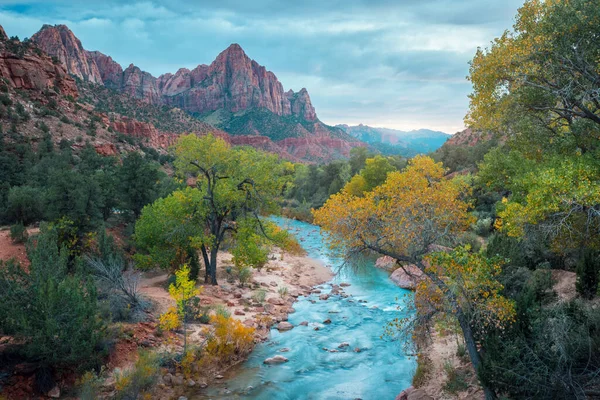 Small River Zion National Park Usa — Stock Photo, Image