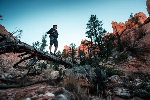 Wanderer Auf Totholz Felsigem Gelände Bryce Canyon Usa — Stockfoto