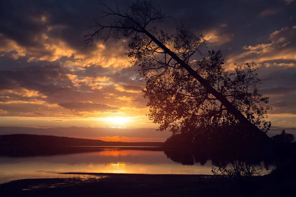 Ηρεμία Λίμνη Δέντρο Φθινόπωρο Στην Ακτή Στο Ηλιοβασίλεμα — Φωτογραφία Αρχείου