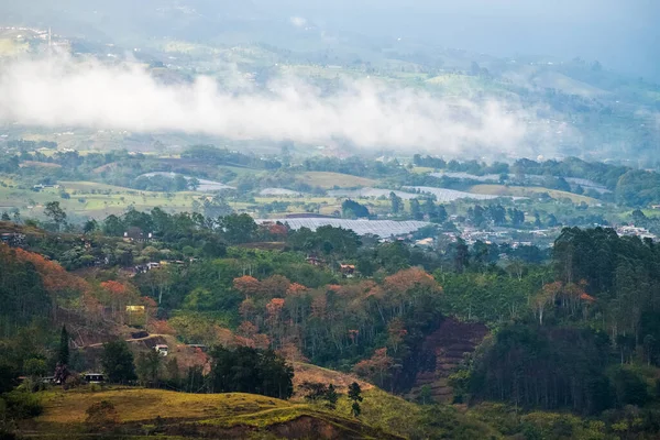 Vale Orosi Área Com Plantações Café País Costa Rica — Fotografia de Stock