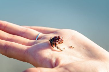 Avucundaki küçük inzivaya çekilen beşiği kapat.