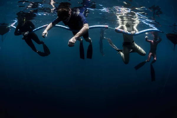 Ελεύθεροι Δύτες Στην Επιφάνεια Του Ωκεανού Ετοιμάζονται Κατέβουν Στο Βάθος — Φωτογραφία Αρχείου