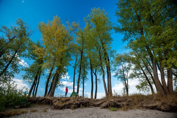 Junge Frau Steht Zelt Und Blickt Den Bäumen — Stockfoto