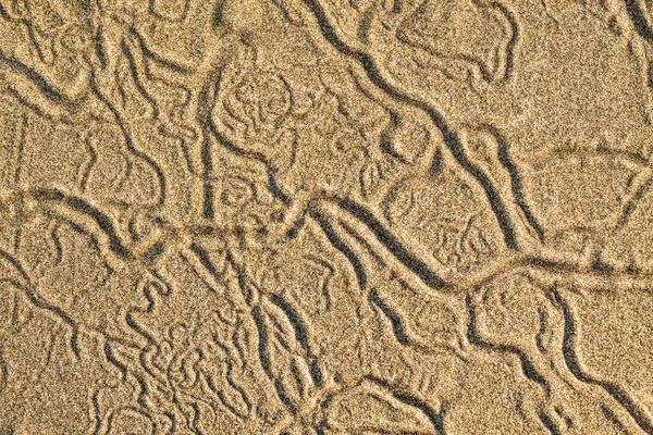 Playa Amarilla Con Trazas Cangrejos —  Fotos de Stock