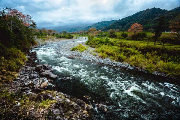 Fleuve Dans Vallée Orosi Costa Rica — Photo