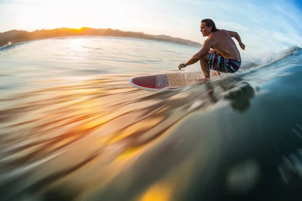 Surfista Recorre Ola Oceánica Amanecer —  Fotos de Stock