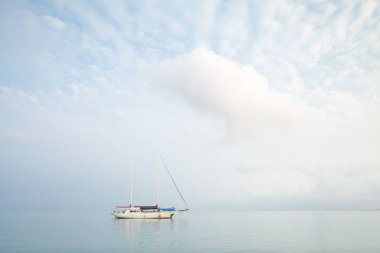Sakin bir denizin ortasına demir atmış bir yelkenli.