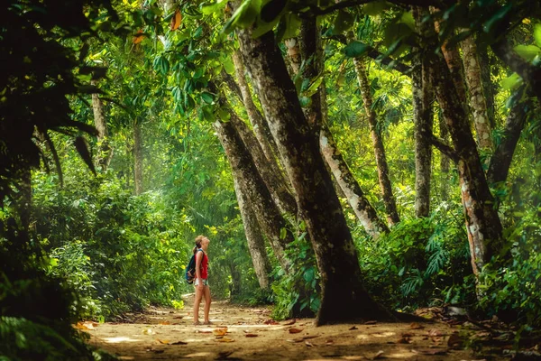 熱帯雨林の小道の大きな木の下に立つ若い女性 — ストック写真
