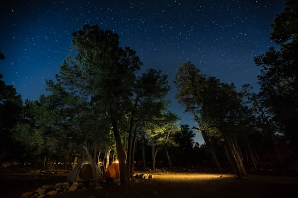 Due Tende Incastonate Tra Gli Alberi Campeggio Parco Con Molte — Foto Stock
