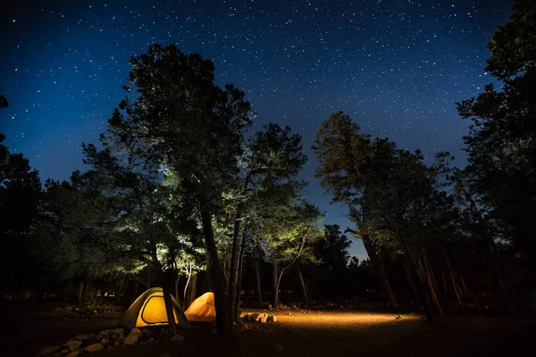 Dva Stany Mezi Stromy Tábořišti Parku Spoustou Hvězd Noční Obloze — Stock fotografie