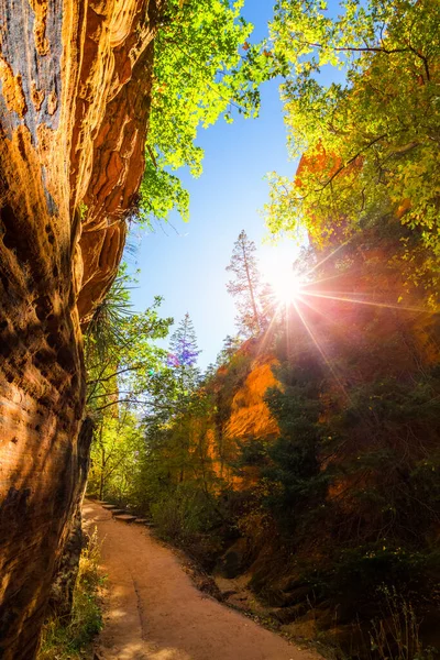 Canyon Zion Nemzeti Parkban Usa — Stock Fotó