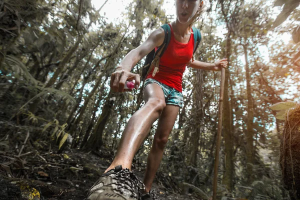 Woman Hiker Applying Mosquito Repellent Skin Dense Tropical Forest — Stock Photo, Image