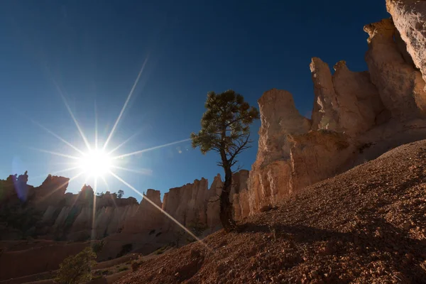 Vale Parque Nacional Bryce Canyon Eua — Fotografia de Stock