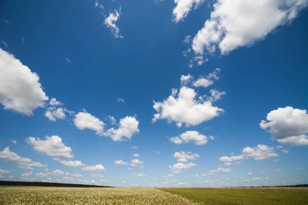 Sommar Himmel Med Fluffiga Moln Bakgrund — Stockfoto