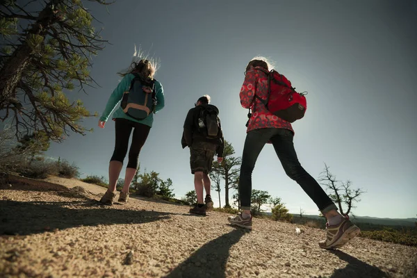 Group Hikers Walkway Sunny Day — Stock Photo, Image