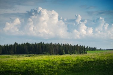 Yaz yumuşacık bulutlar ve yemyeşil çimenli çayır