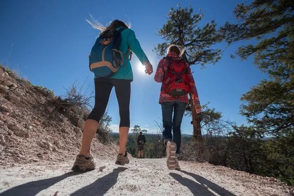 Wandergruppe Bei Sonnigem Wetter Auf Dem Fußweg — Stockfoto