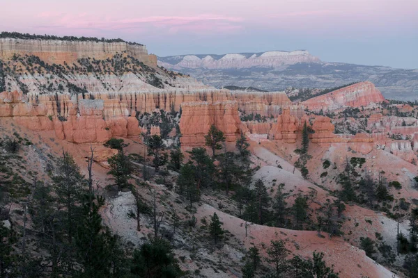 Felsen Bryce Canyon Nationalpark Usa — Stockfoto