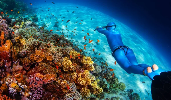 在清澈清澈的热带海洋中 女解放者在鲜活的珊瑚礁上滑行 — 图库照片