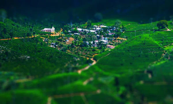 Valley Green Hills Tea Plantations Small Village Sri Lanka — Stock Photo, Image