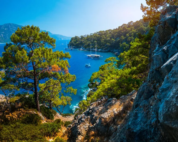 Aegean Sea Coast Lush Pine Trees Calm Lagoons Anchored Boats — Stock Photo, Image