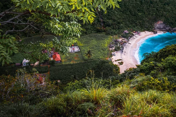 印度尼西亚巴厘努沙佩尼达岛上的热带海滩被茂密的植被环绕 — 图库照片