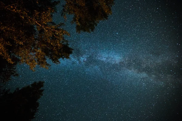 Hvězdná Obloha Galaxie Mléčná Dráha Zvýrazněné Stromy — Stock fotografie