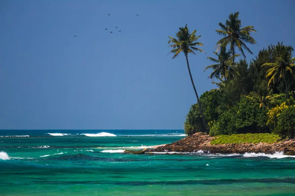 Palmeiras Costa Verdejante Mar Tropical Azul Turquesa Com Ondas — Fotografia de Stock