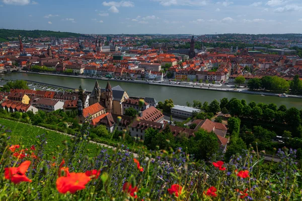 川と橋で街のスカイライン 手前の赤い花 ドイツのヴュルツブルグ — ストック写真