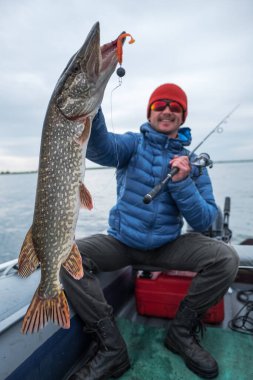 Mutlu balıkçı kuzey turnabalığı (Esox lucius), balık yaklaşık 2.3 kg (5lb) 'dır. Balıkçı arka planda nehir olan bir teknede oturur.