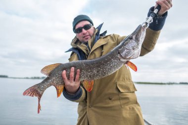 Amatör balıkçı büyük balık (Esox lucius) balığının ağırlığı 4.6 kg (10 lb.)