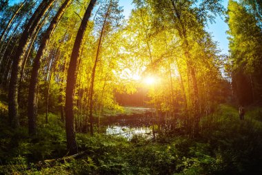 Turistlerle çevrili küçük bir göl.