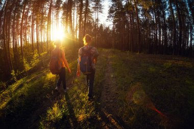 Güneşli bir günde ormanda yolda yürüyen iki kadın.