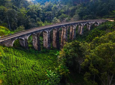 Old bridge named Nine Arches Bridge near the town of Ella, Sri Lanka clipart