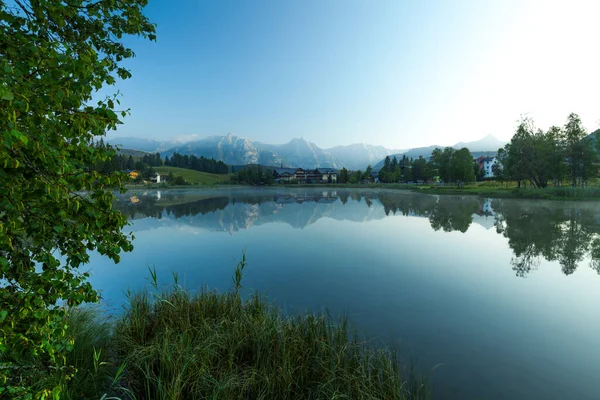 Erba Verde Alberi Una Costa Del Lago Alpino Seefeld Austria — Foto Stock