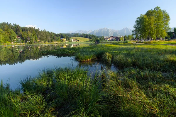 Zielona Trawa Drzewa Wybrzeżu Alpejskiego Jeziora Seefeld Austria — Zdjęcie stockowe