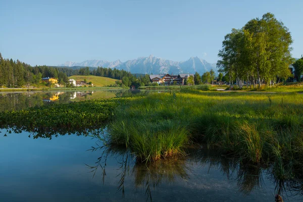 Zielona Trawa Drzewa Wybrzeżu Alpejskiego Jeziora Seefeld Austria — Zdjęcie stockowe