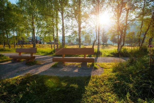 Camminata Con Panchine Sulla Costa Del Lago Alpino Seefeld Austria — Foto Stock