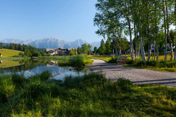 Caminhar Com Grama Verde Árvores Uma Costa Lago Alpino Seefeld — Fotografia de Stock