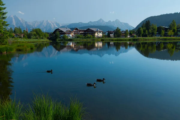 Damm Alperna Med Klar Stillastående Vattenyta Och Simmande Ankor Seefeld — Stockfoto