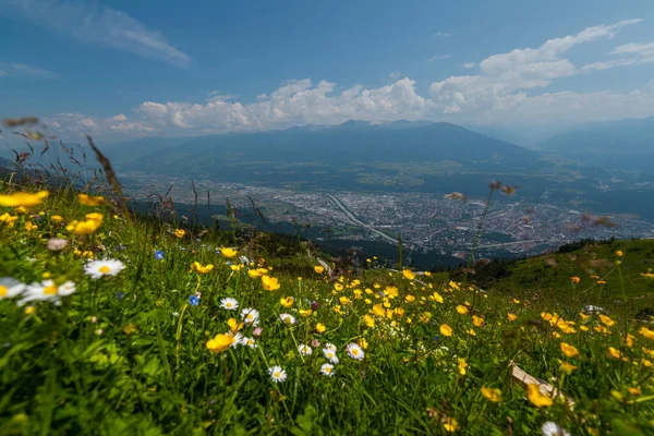 Shot City Innsbruk Top Mountain Sunny Day Flowers Foreground — Stock Photo, Image