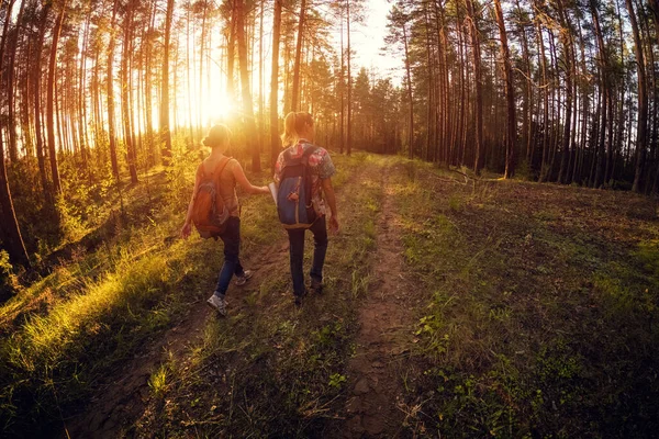 Két Hölgy Sétál Úton Erdőben Napsütésben — Stock Fotó