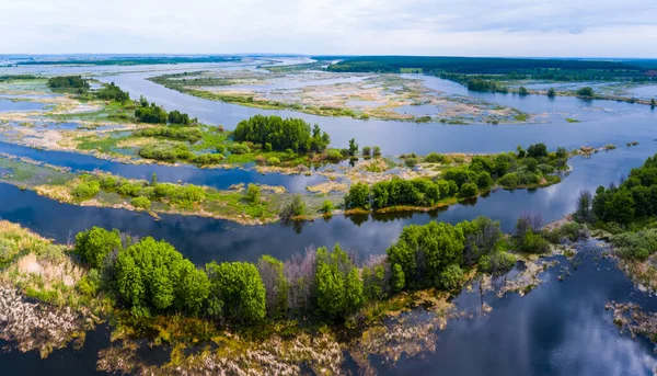 Panorama Lake Islets Swamps — Stock Photo, Image