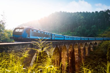 Ella, Sri Lanka yakınlarındaki Nine Arches Bridges adında bir viyadük treni geçiyor.