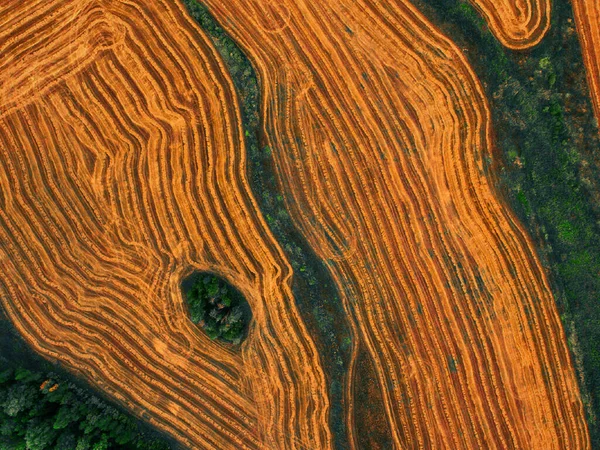 Vista Aérea Campo Trigo Cortado — Fotografia de Stock