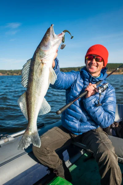 Buon Pescatore Detiene Pesce Zander Essere Nella Barca Sul Fiume — Foto Stock