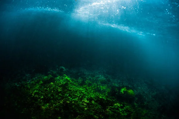 Vue Sous Marine Récif Corallien Sur Rivage Avec Des Vagues — Photo