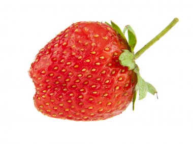 kırmızı, sulu çilek